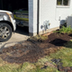 A photo of a burned Ford Explorer SUV and singed grass around it.